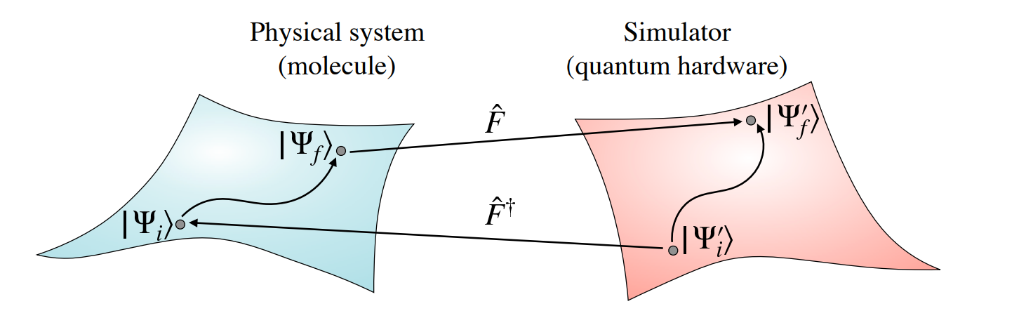 Representation of a Quantum Simulator - IBM Quantum Research